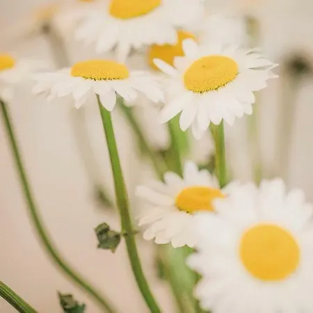 Cozy With Parking! 아파트 *